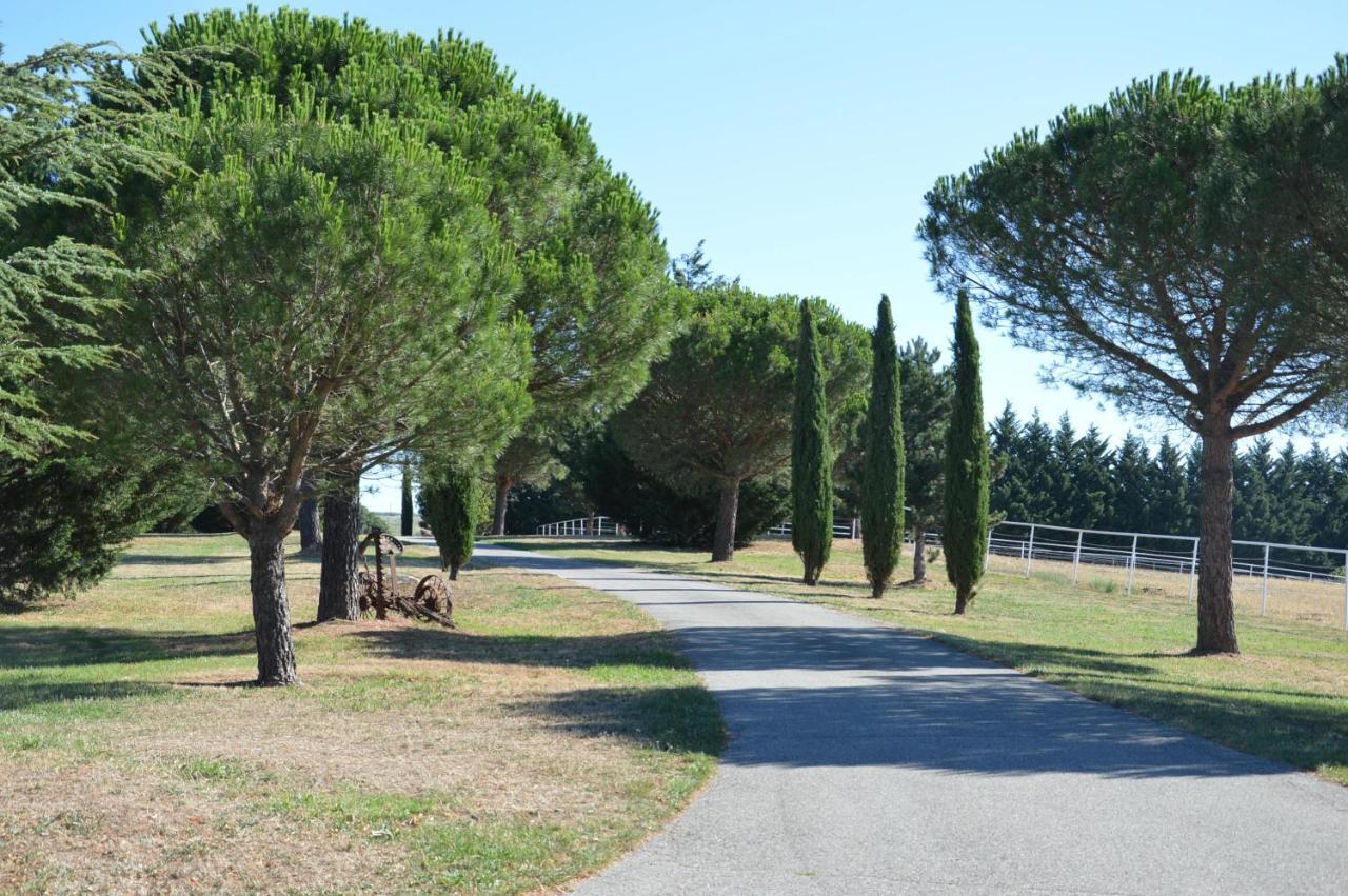 Holiday home Le Chardonneret Du Domaine Du Moulin 15 Etables (Ardeche)